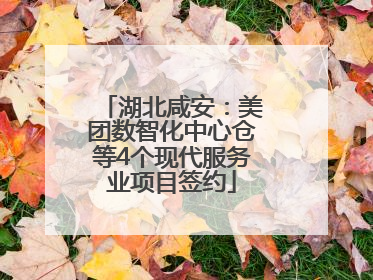湖北咸安：美团数智化中心仓等4个现代服务业项目签约