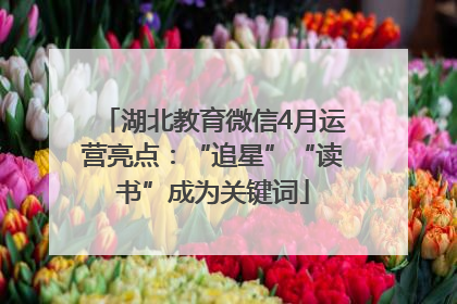 湖北教育微信4月运营亮点：“追星”“读书”成为关键词