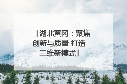 湖北黄冈：聚焦创新与质量 打造三维新模式