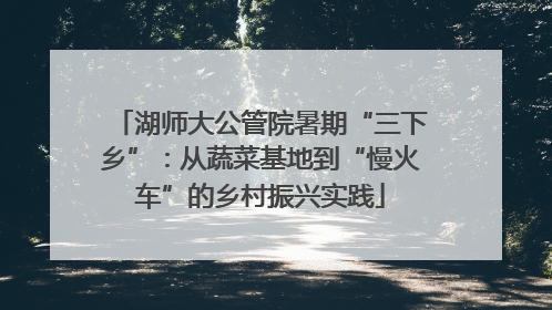 湖师大公管院暑期“三下乡”：从蔬菜基地到“慢火车”的乡村振兴实践