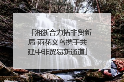 湘浙合力拓非贸新局 雨花义乌携手共建中非贸易新通道
