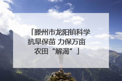 滕州市龙阳镇科学抗旱保苗 力保万亩农田“解渴”
