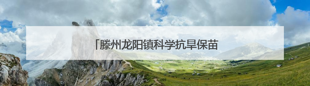 滕州龙阳镇科学抗旱保苗 力保万亩农田“解渴”