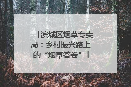 滨城区烟草专卖局：乡村振兴路上的“烟草答卷”