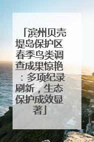 滨州贝壳堤岛保护区春季鸟类调查成果惊艳：多项纪录刷新，生态保护成效显著