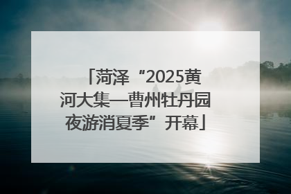 菏泽“2025黄河大集—曹州牡丹园夜游消夏季”开幕