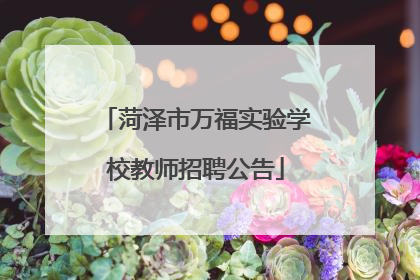 菏泽市万福实验学校教师招聘公告