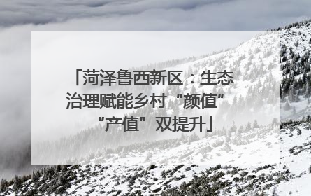 菏泽鲁西新区：生态治理赋能乡村“颜值”“产值”双提升