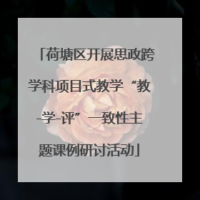 荷塘区开展思政跨学科项目式教学“教-学-评”一致性主题课例研讨活动