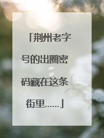 荆州老字号的出圈密码藏在这条街里……