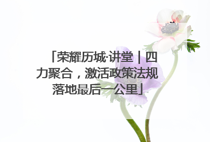 荣耀历城·讲堂｜四力聚合，激活政策法规落地最后一公里