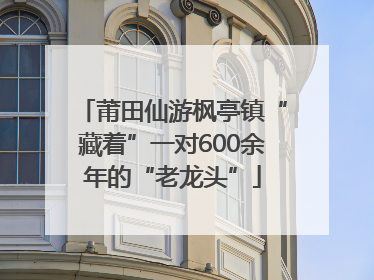 莆田仙游枫亭镇“藏着”一对600余年的“老龙头”
