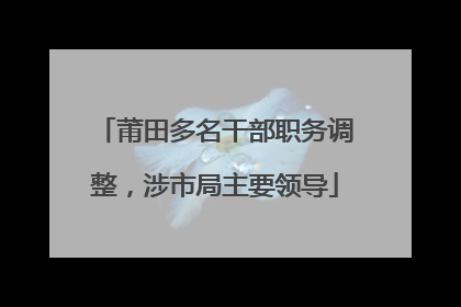 莆田多名干部职务调整，涉市局主要领导