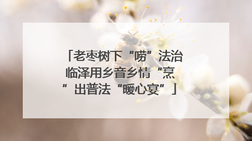 老枣树下“唠”法治 临泽用乡音乡情“烹”出普法“暖心宴”