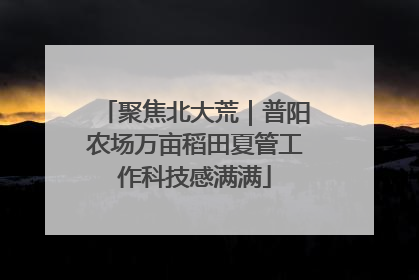 聚焦北大荒｜普阳农场万亩稻田夏管工作科技感满满
