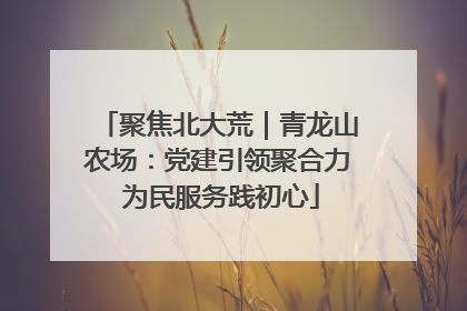 聚焦北大荒｜青龙山农场：党建引领聚合力 为民服务践初心