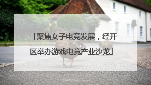 聚焦女子电竞发展，经开区举办游戏电竞产业沙龙