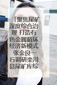 聚焦尾矿深度综合治理 打造有色金属循环经济新模式 张金良一行调研栾川县尾矿库综合治理工作