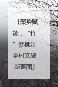 聚势赋能，“竹”梦桃江乡村文旅新蓝图