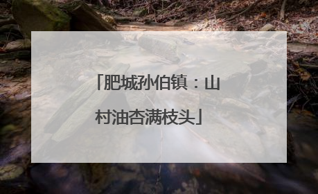 肥城孙伯镇：山村油杏满枝头