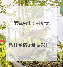 肥城屯头：村史馆留住乡情见证振兴