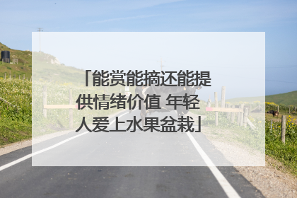 能赏能摘还能提供情绪价值 年轻人爱上水果盆栽