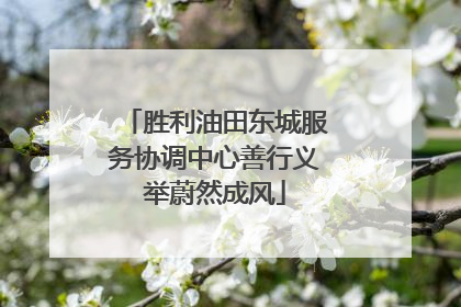 胜利油田东城服务协调中心善行义举蔚然成风