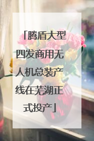 腾盾大型四发商用无人机总装产线在芜湖正式投产
