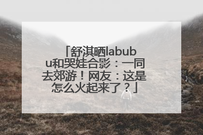 舒淇晒labubu和哭娃合影：一同去郊游！网友：这是怎么火起来了？