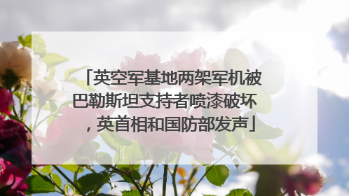英空军基地两架军机被巴勒斯坦支持者喷漆破坏，英首相和国防部发声
