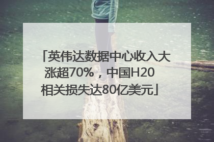 英伟达数据中心收入大涨超70%，中国H20相关损失达80亿美元