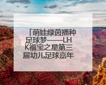 萌娃绿茵播种足球梦——LHK福宝之星第三届幼儿足球嘉年华精彩绽放