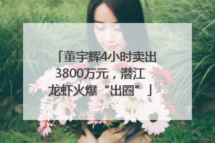 董宇辉4小时卖出3800万元，潜江龙虾火爆“出圈”