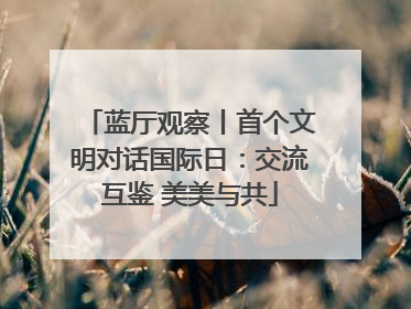 蓝厅观察丨首个文明对话国际日：交流互鉴 美美与共