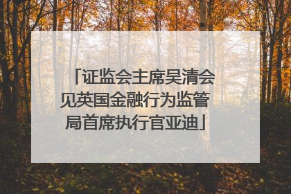 证监会主席吴清会见英国金融行为监管局首席执行官亚迪