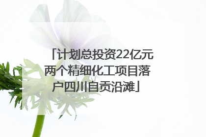 计划总投资22亿元 两个精细化工项目落户四川自贡沿滩