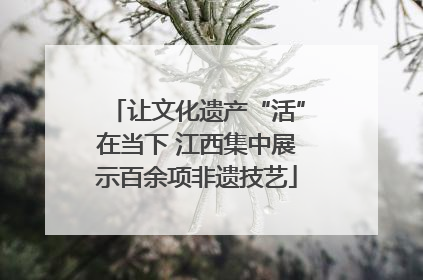 让文化遗产“活”在当下 江西集中展示百余项非遗技艺
