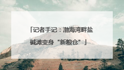 记者手记：渤海湾畔盐碱滩变身“新粮仓”