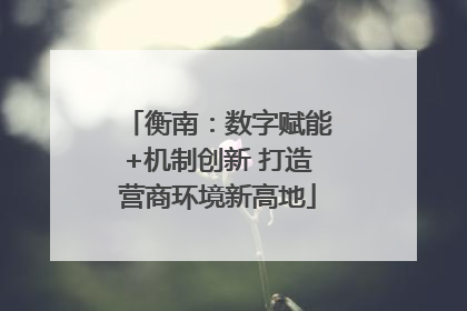 衡南：数字赋能+机制创新 打造营商环境新高地
