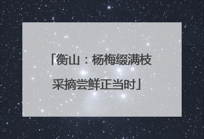 衡山：杨梅缀满枝 采摘尝鲜正当时