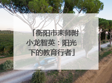 衡阳市耒师附小龙智英：阳光下的教育行者