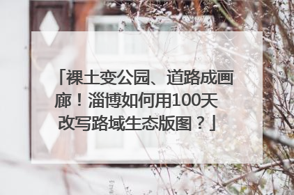 裸土变公园、道路成画廊！淄博如何用100天改写路域生态版图？