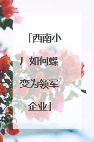 西南小厂如何蝶变为领军企业
