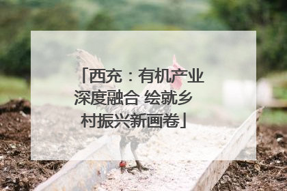 西充：有机产业深度融合 绘就乡村振兴新画卷