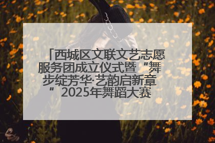 西城区文联文艺志愿服务团成立仪式暨“舞步绽芳华·艺韵启新章”2025年舞蹈大赛展演圆满举办