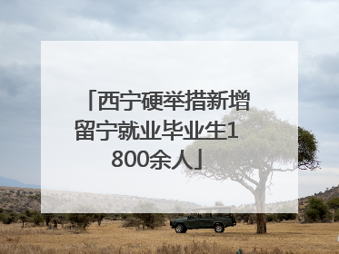 西宁硬举措新增留宁就业毕业生1800余人