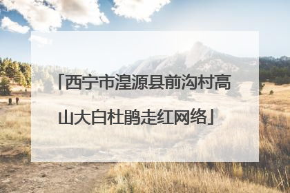 西宁市湟源县前沟村高山大白杜鹃走红网络