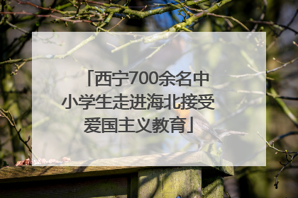 西宁700余名中小学生走进海北接受爱国主义教育