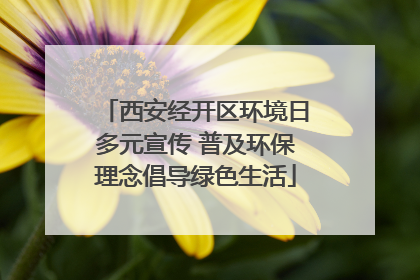 西安经开区环境日多元宣传 普及环保理念倡导绿色生活