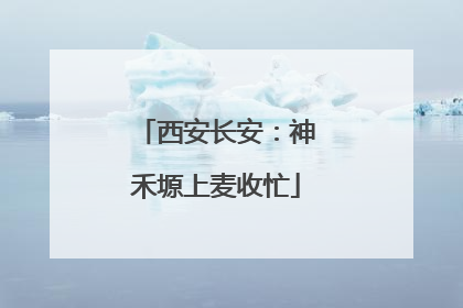 西安长安：神禾塬上麦收忙